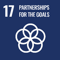 UN goal 17 - partnerships for the goals